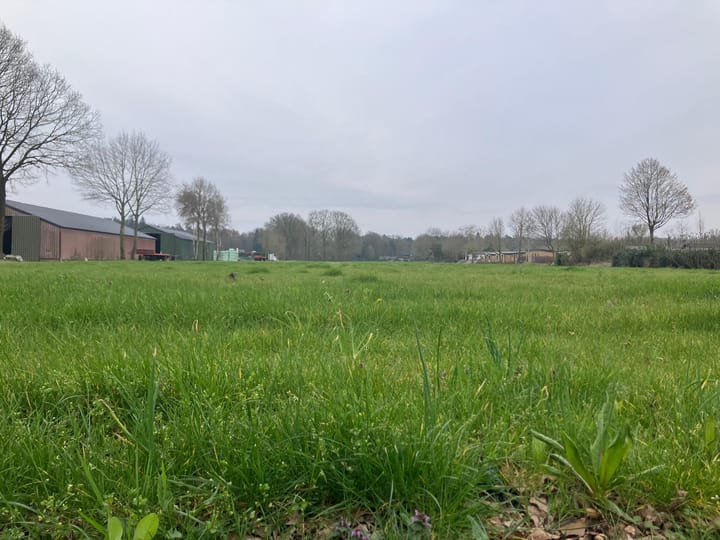 Harderwijkerweg, Hulshorst