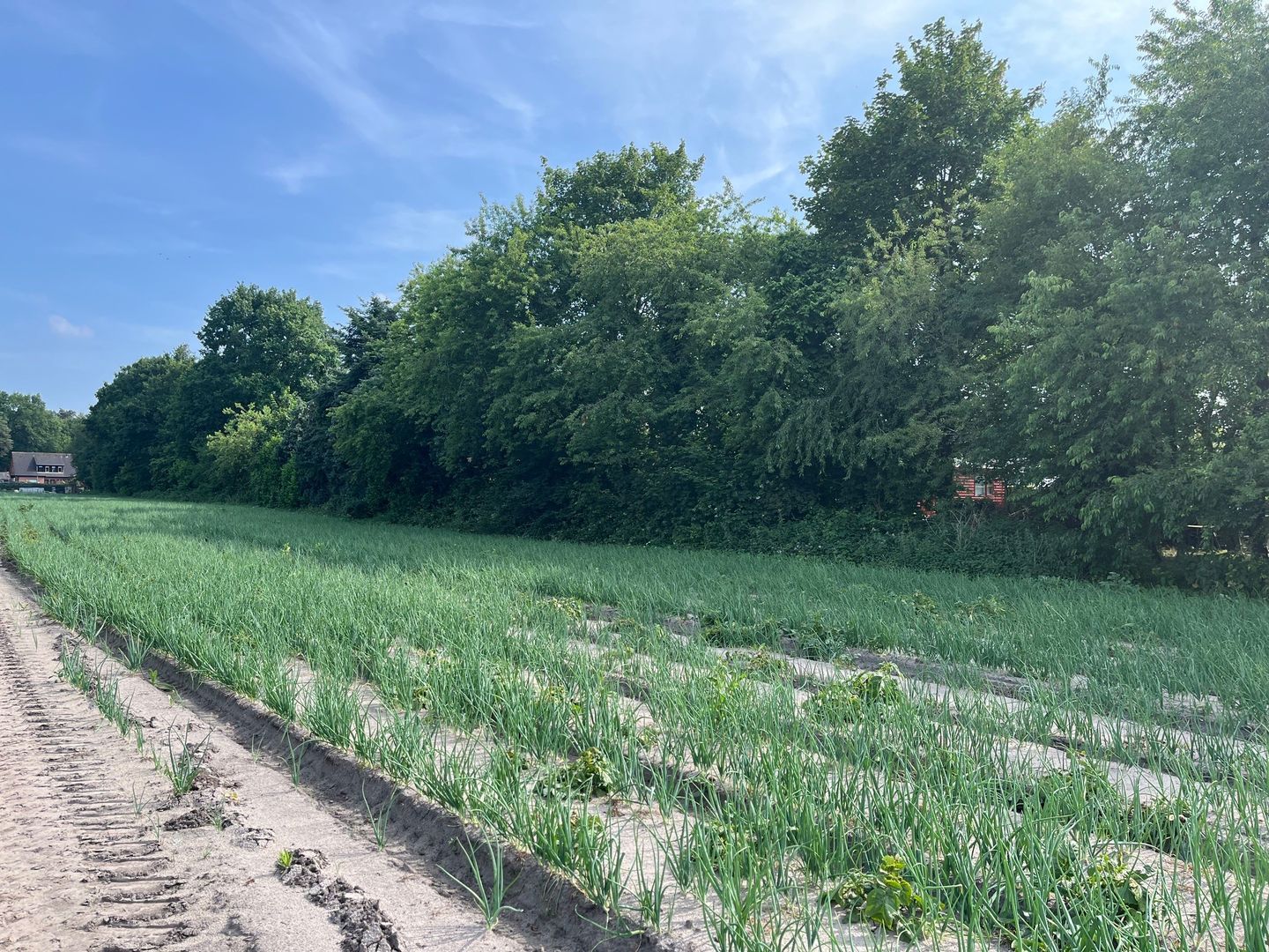 Bekijk foto 5 van Harderwijkerweg