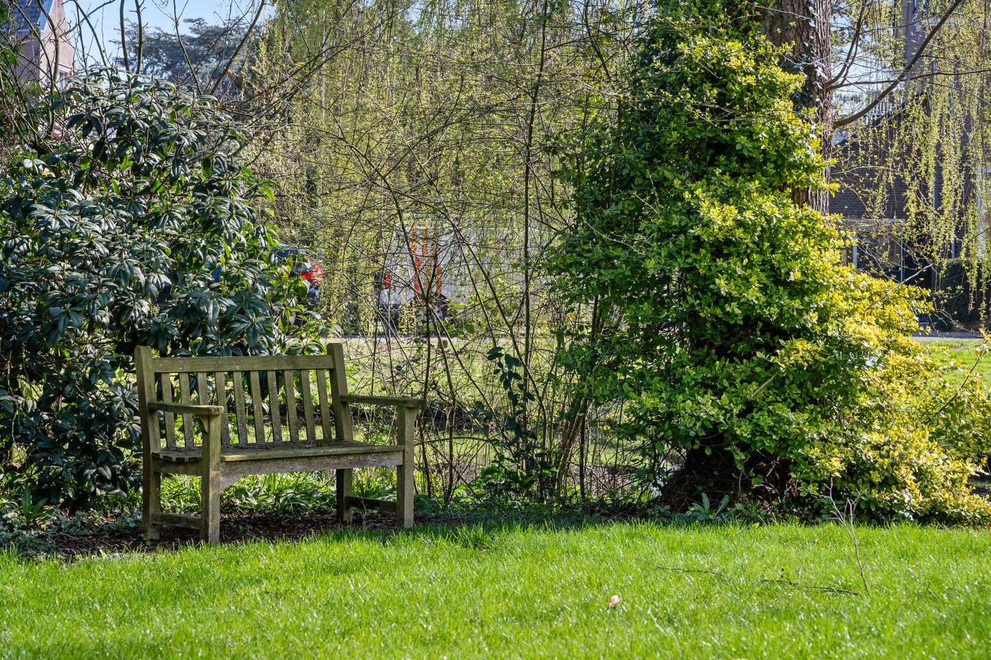 Foto 44 van Van Somerenstraat 1