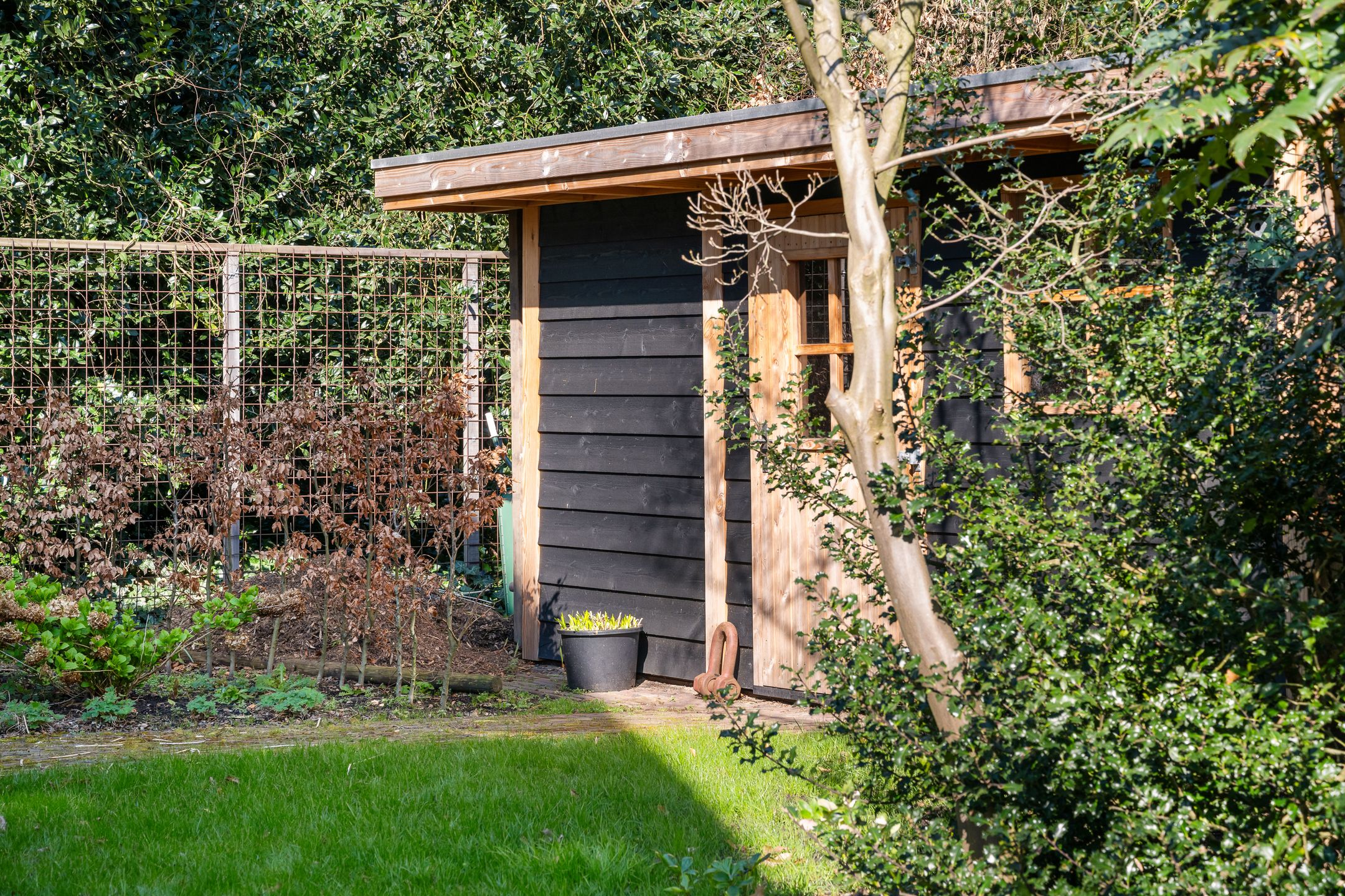 Foto 45 van Van Somerenstraat 1