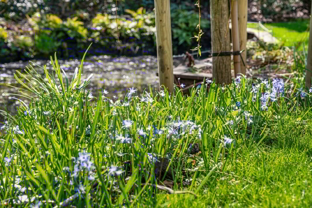 Foto 47 van Van Somerenstraat 1