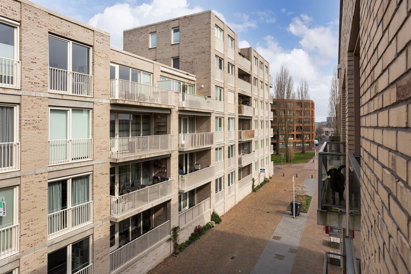 Foto 14 van Ella Fitzgeraldplein 263