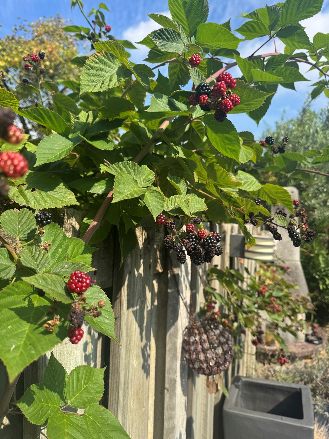 Foto 28 van Bredaseweg 133