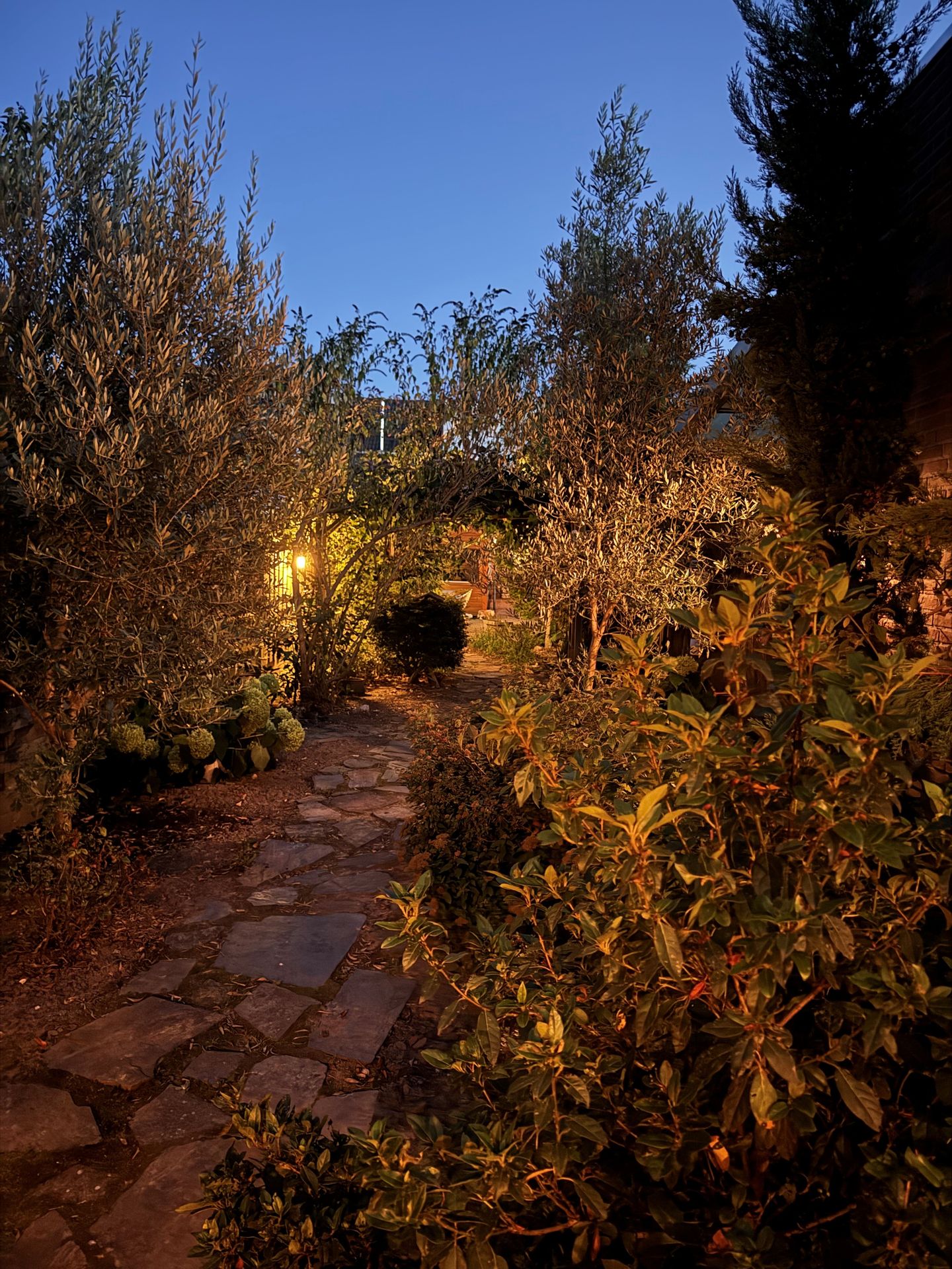 Foto 35 van Bredaseweg 133