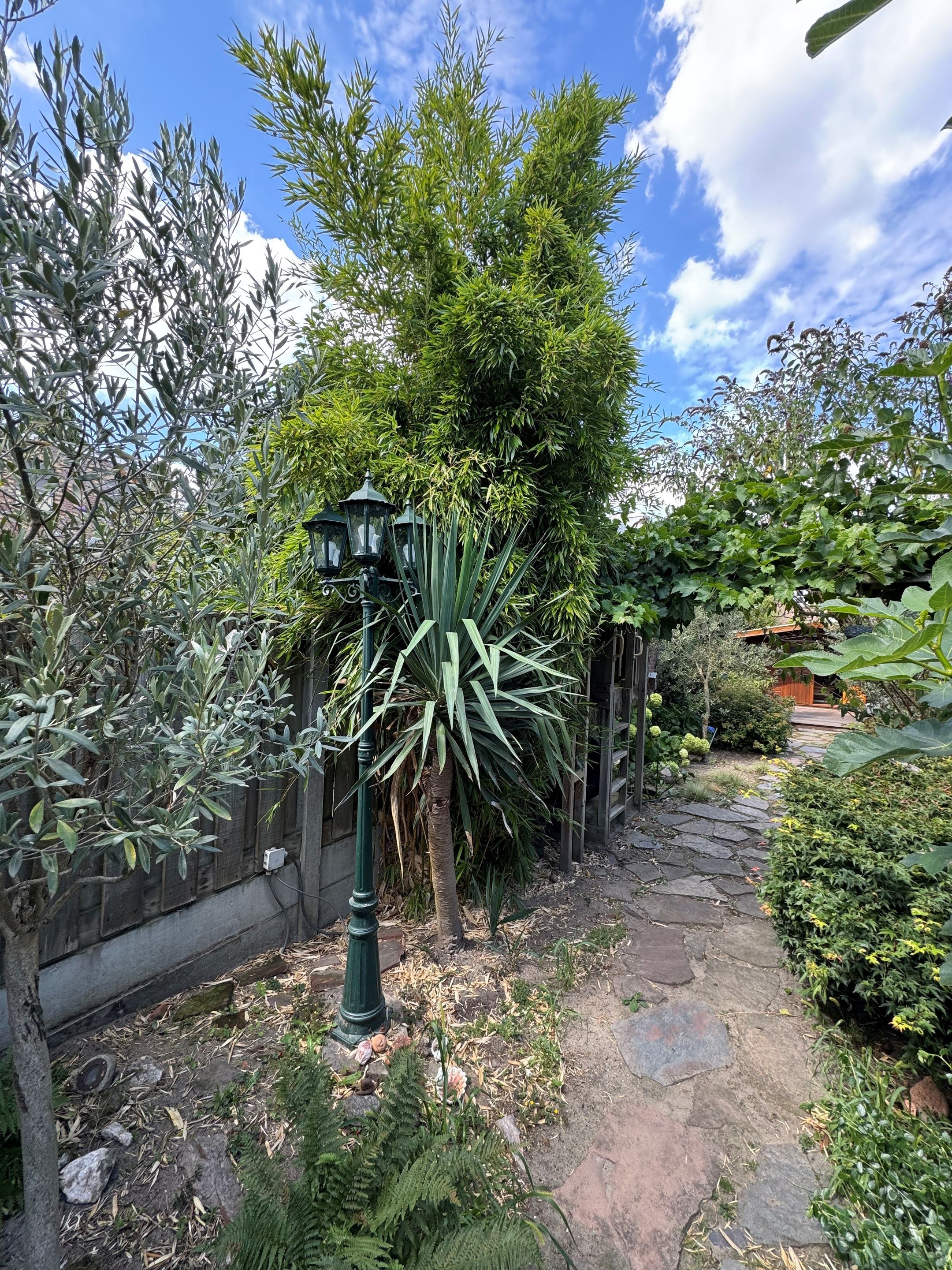 Foto 27 van Bredaseweg 133