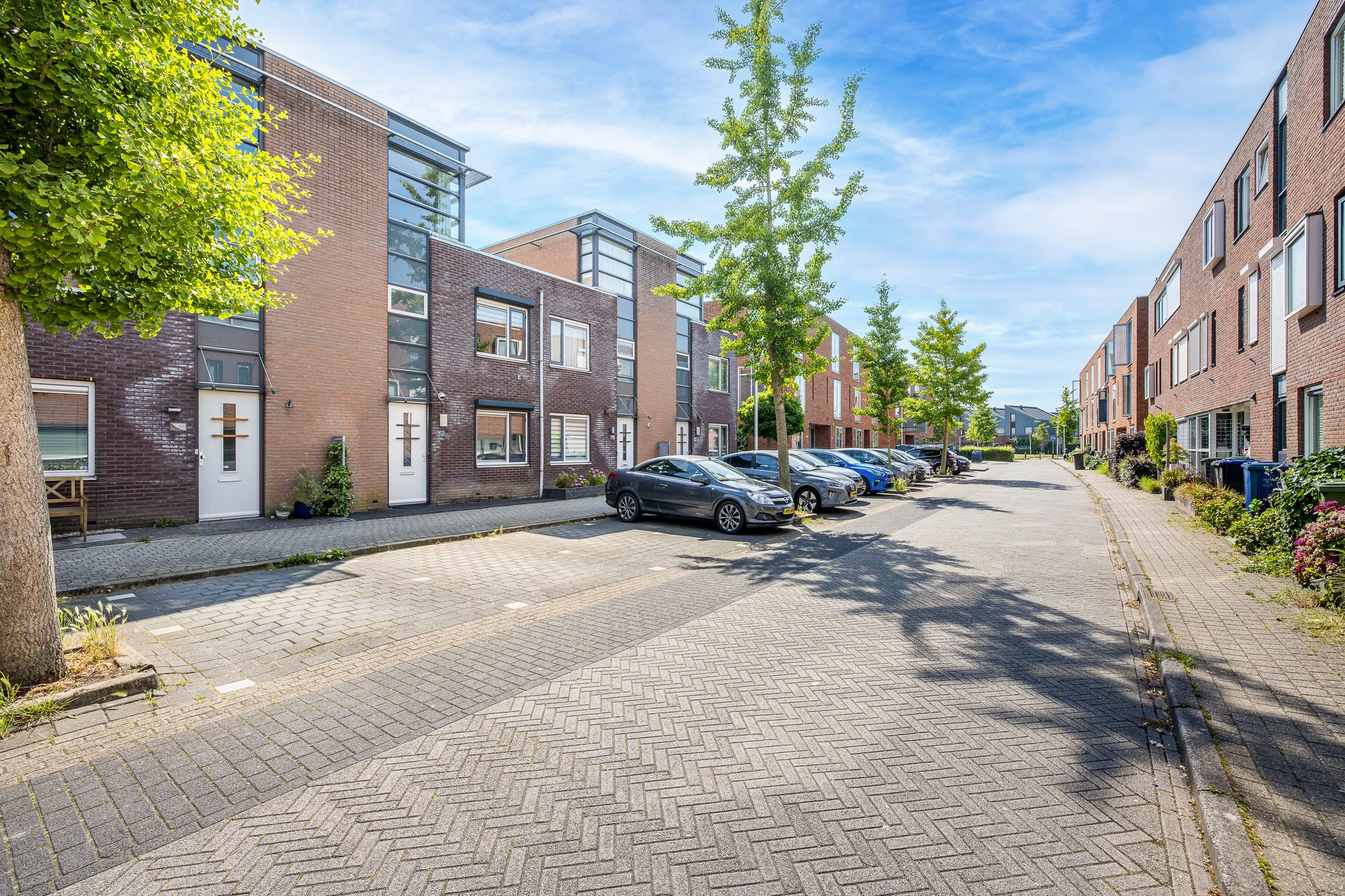 Foto 45 van Rijsenborch 100