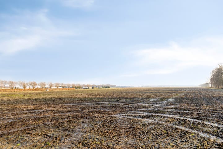 Foto 3 van Ter Apelkanaal Oost 118