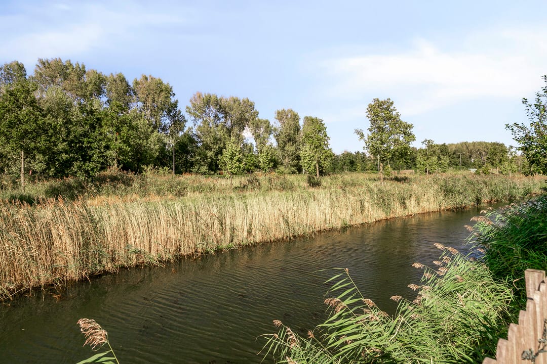 Foto 37 van Iyohof 2