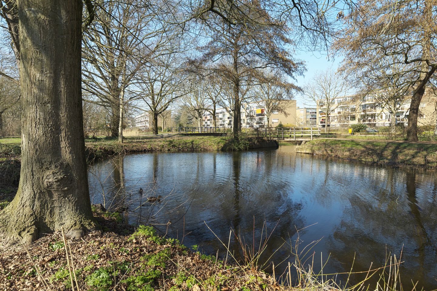 Foto 35 van De Genestetstraat 19