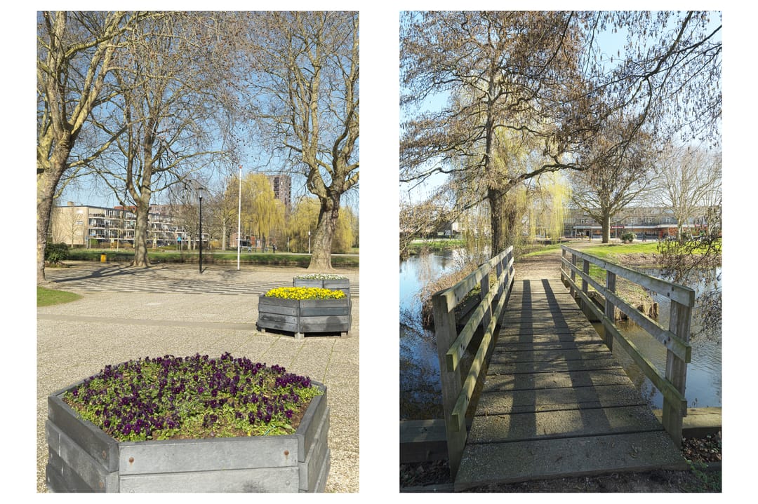 Foto 37 van De Genestetstraat 19