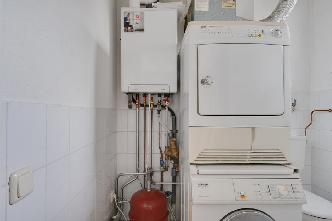 Photo 28 of Roode Leeuw 14