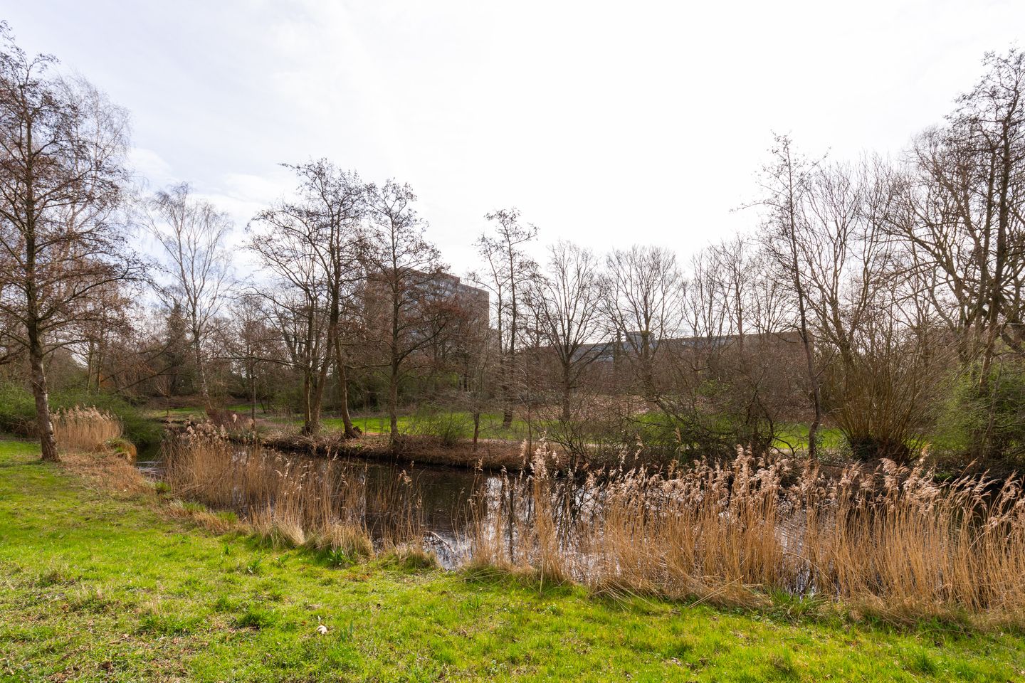 Photo 29 of Laan van Berlijn 182