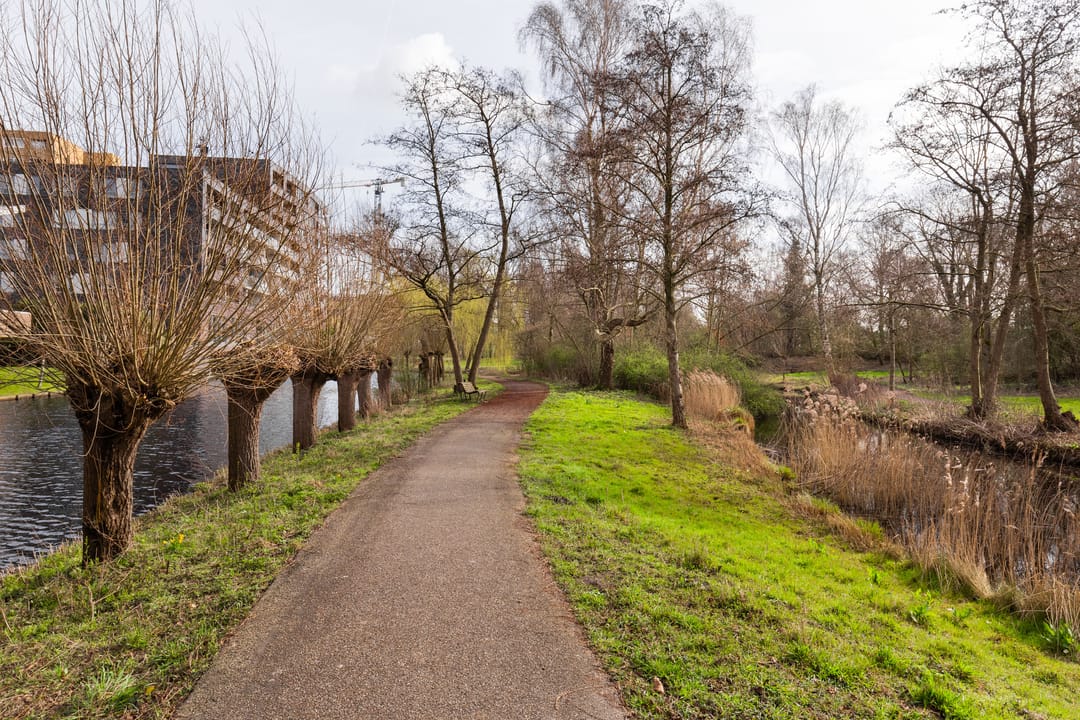 Photo 28 of Laan van Berlijn 182