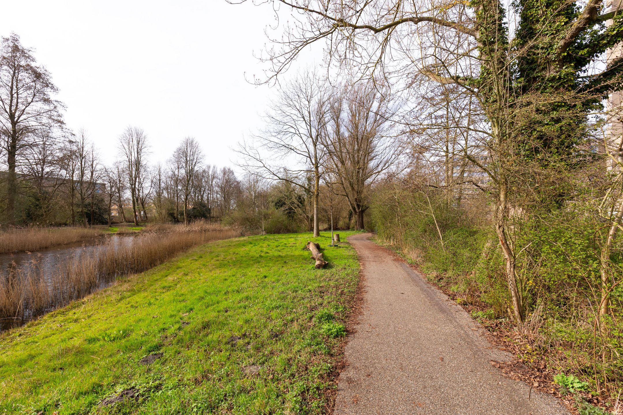 Photo 30 of Laan van Berlijn 182