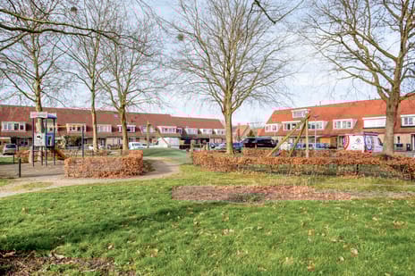 Graanakker thumbnail