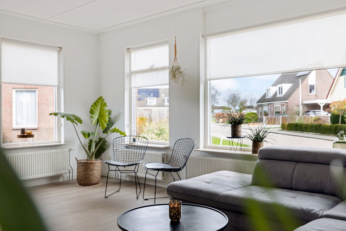 Photo 19 of Baggelaar 3