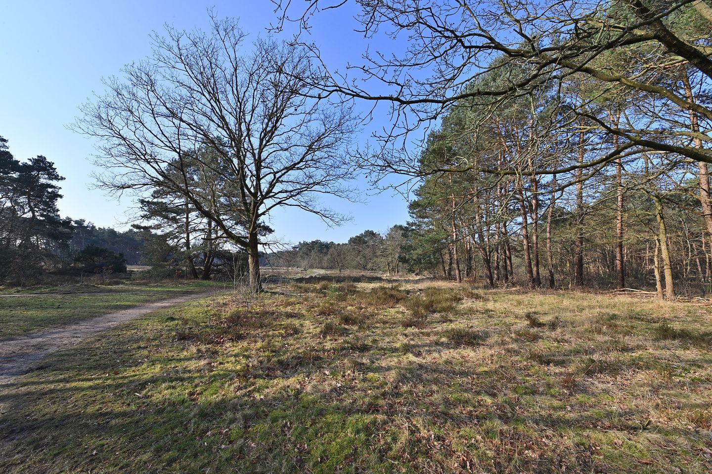 Spacious 3-room apartment near Bussummerheide — 14