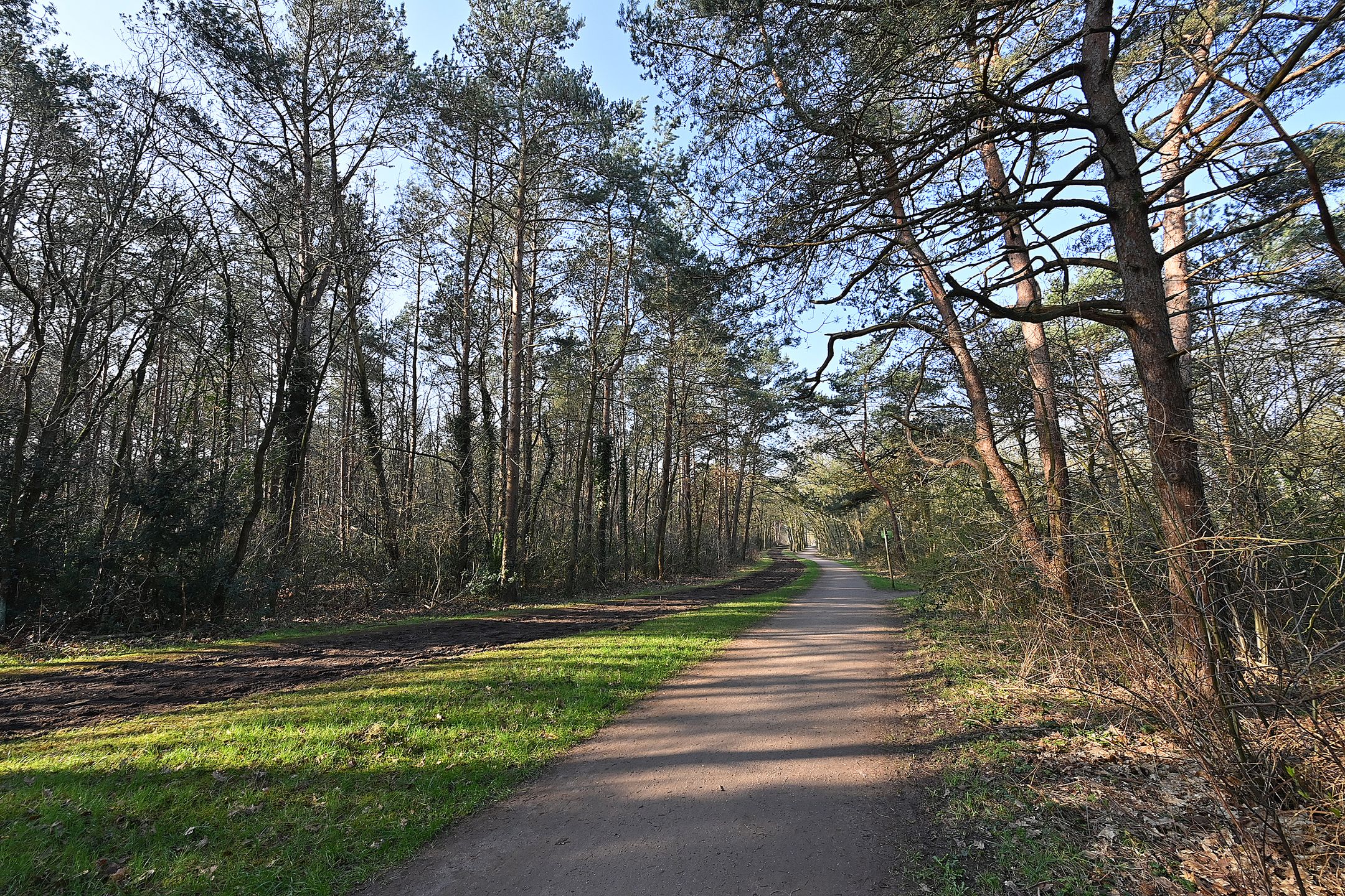 Spacious 3-room apartment near Bussummerheide — 15