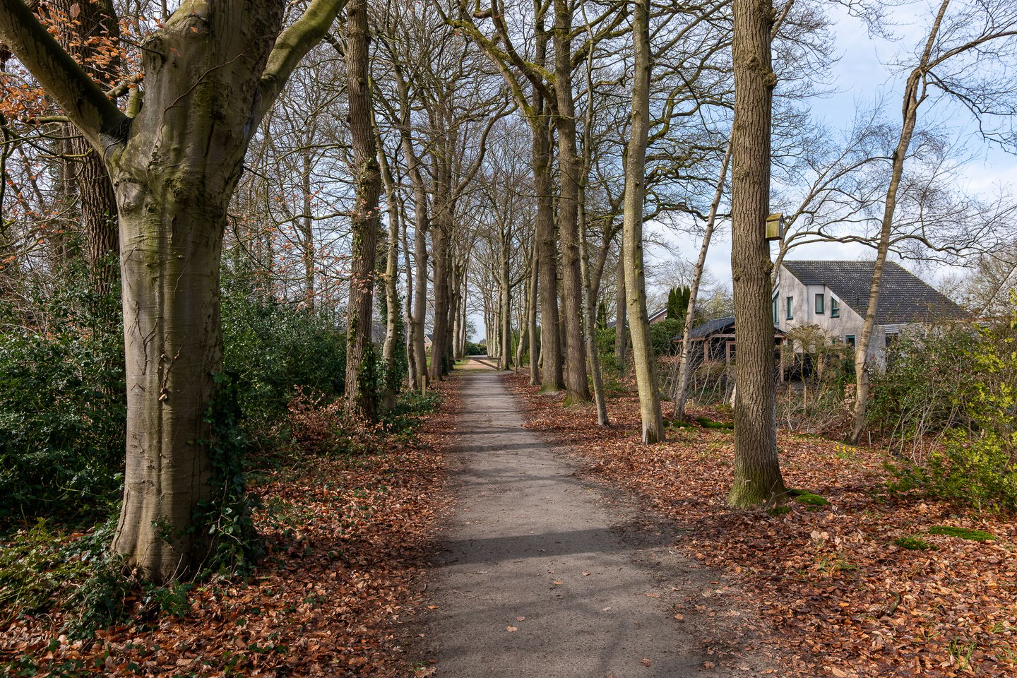 Photo 4 of Elzenlaan 14