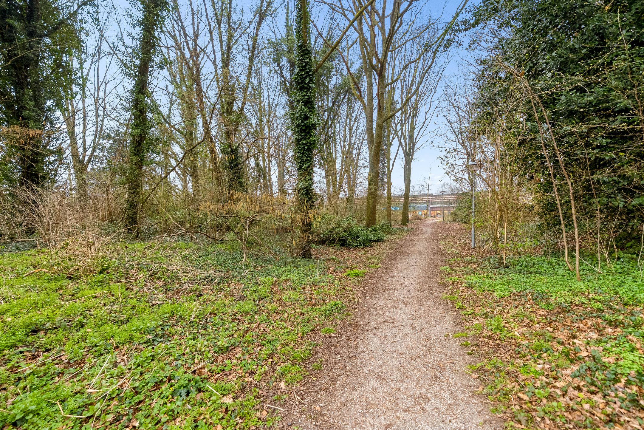 Photo 36 of Voorhof 52