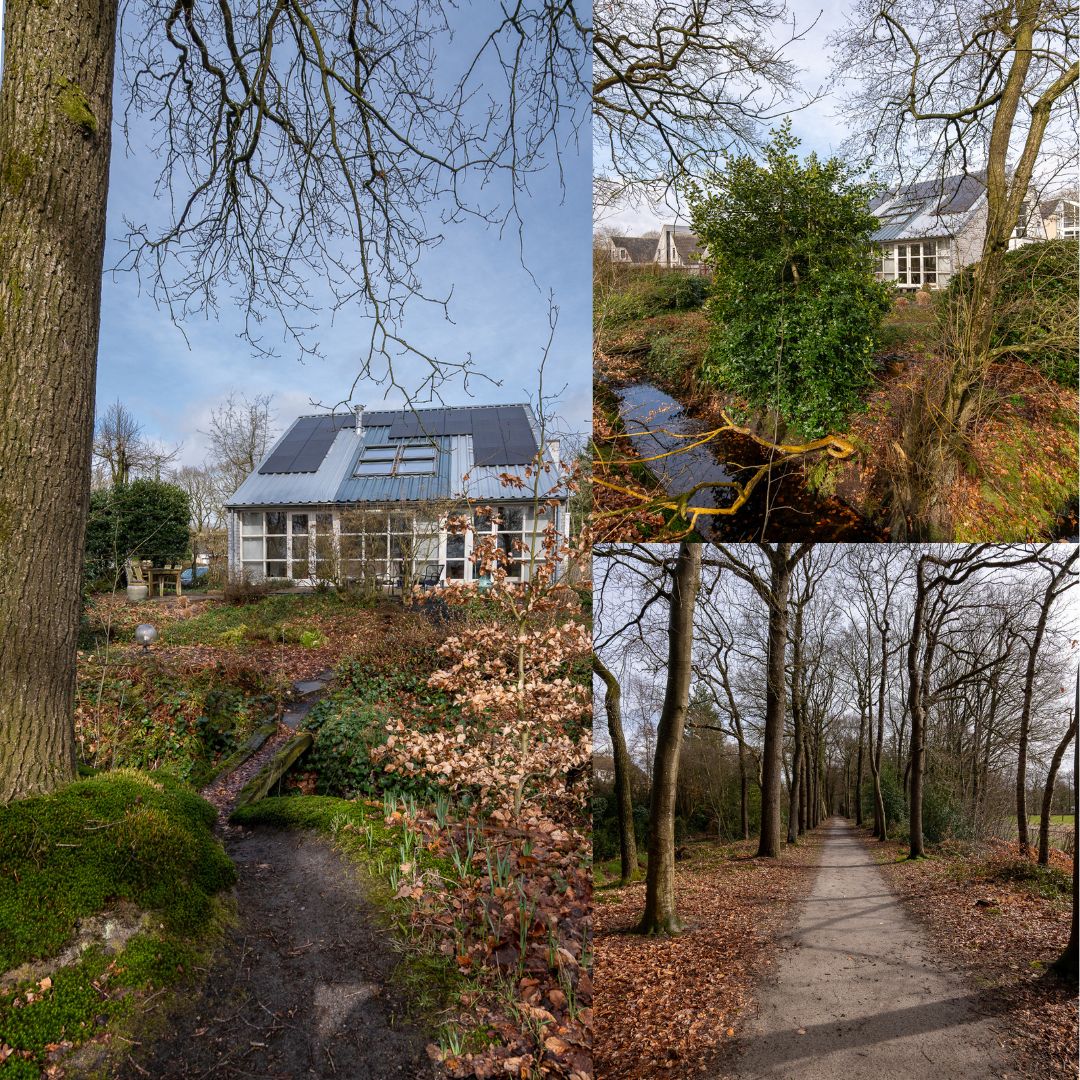 Photo 51 of Elzenlaan 14