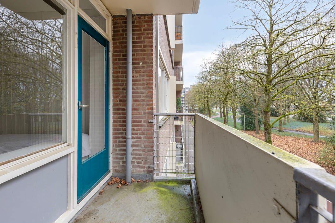 Foto 32 van Professor Cobbenhagenlaan 60