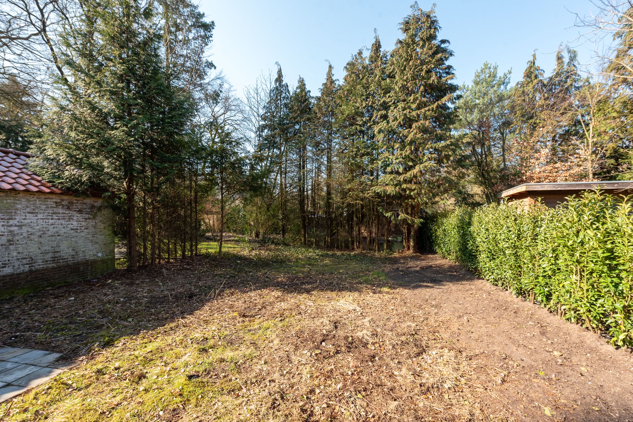 Foto 24 van Dolderseweg 35