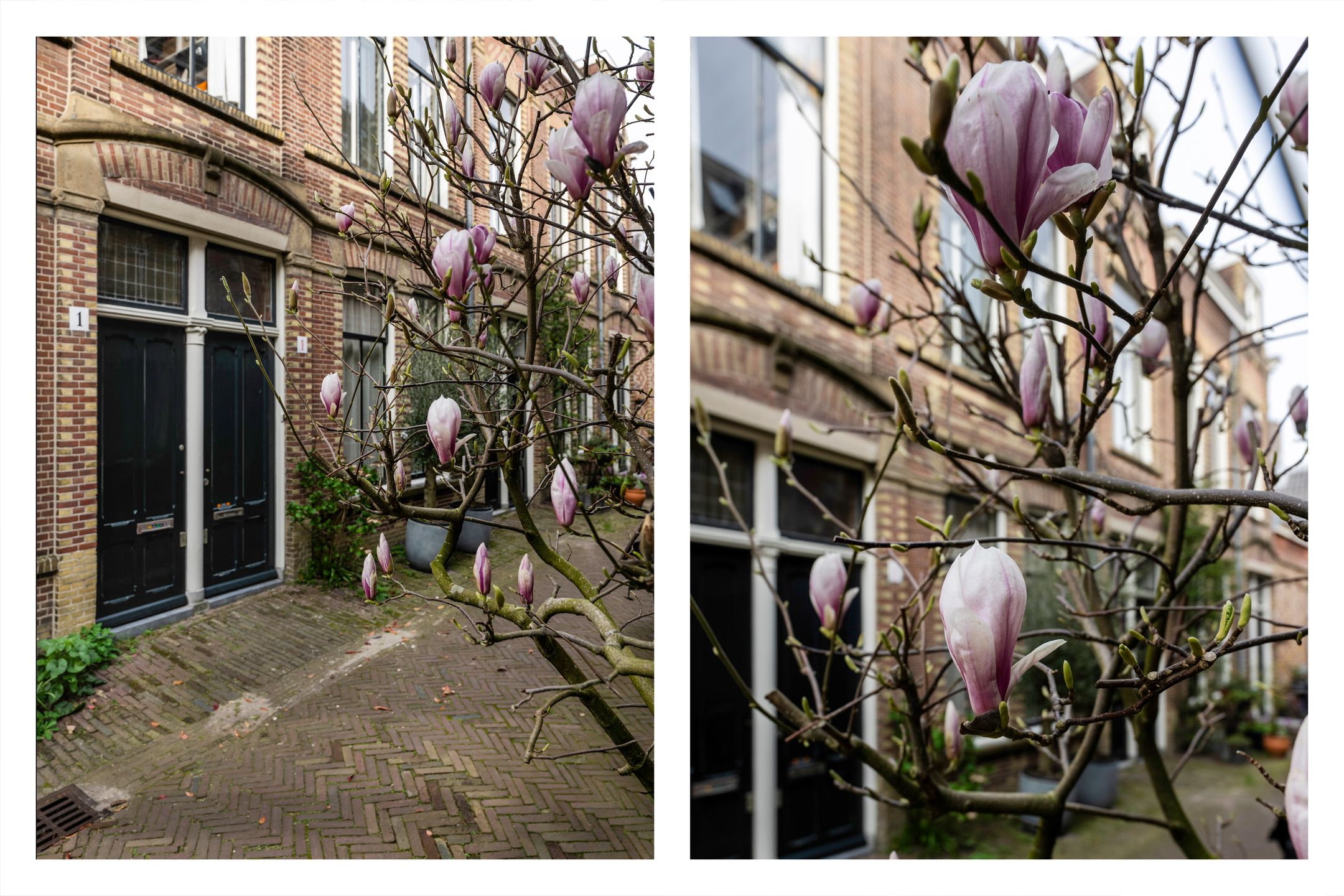 Photo 24 of Teylershofjestraat 1-RD