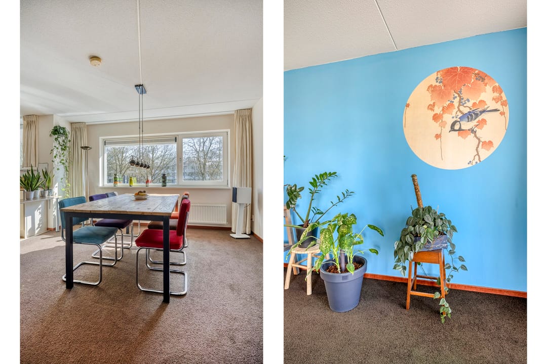 Photo 11 of Handweg 135