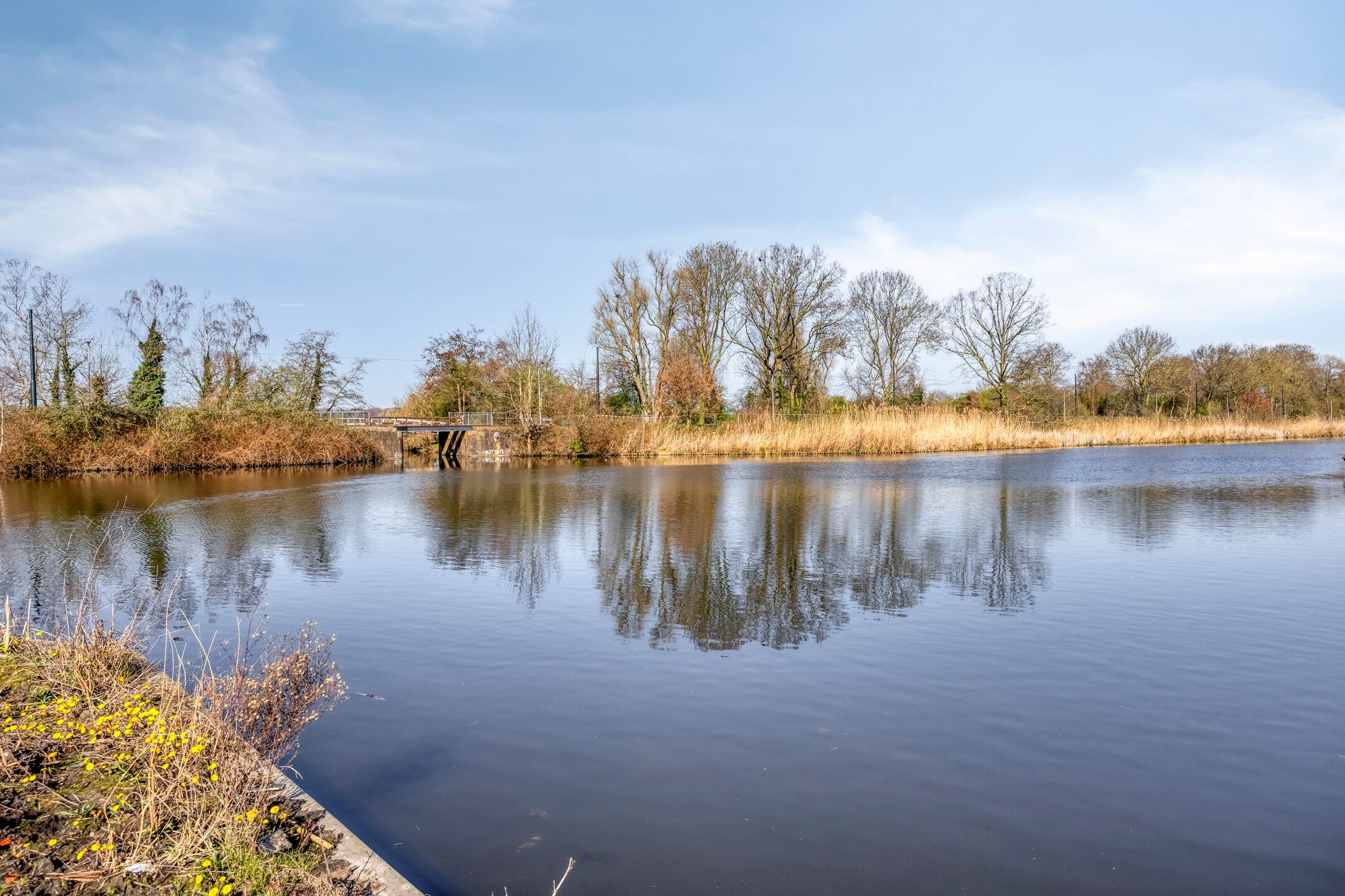 Photo 36 of Handweg 135