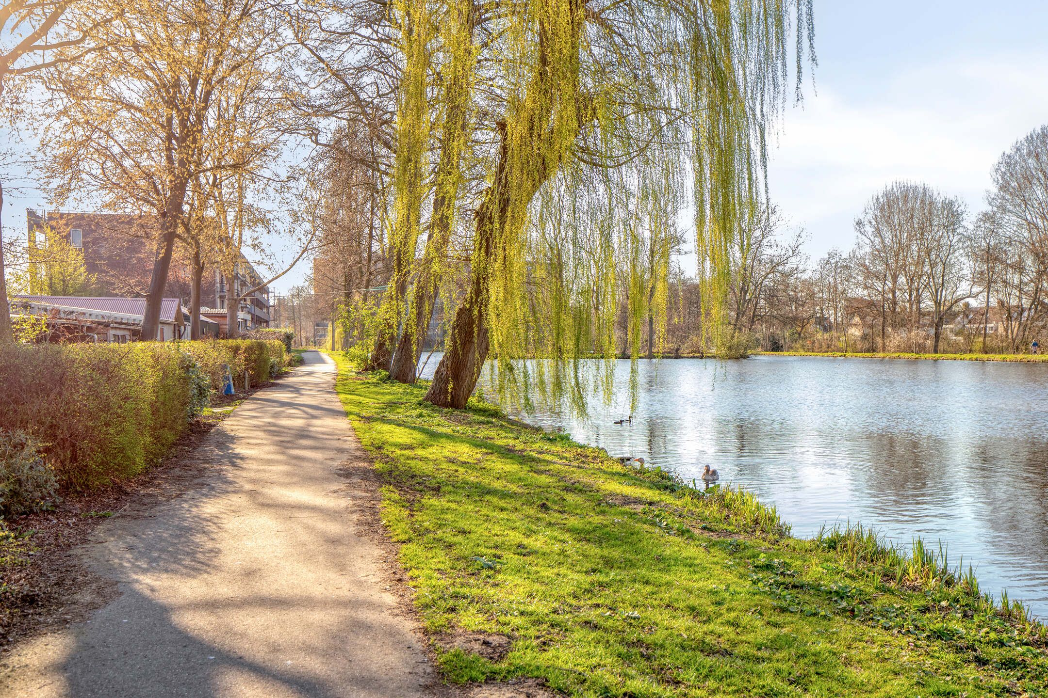 Foto 24 van Goudenregenstraat 102