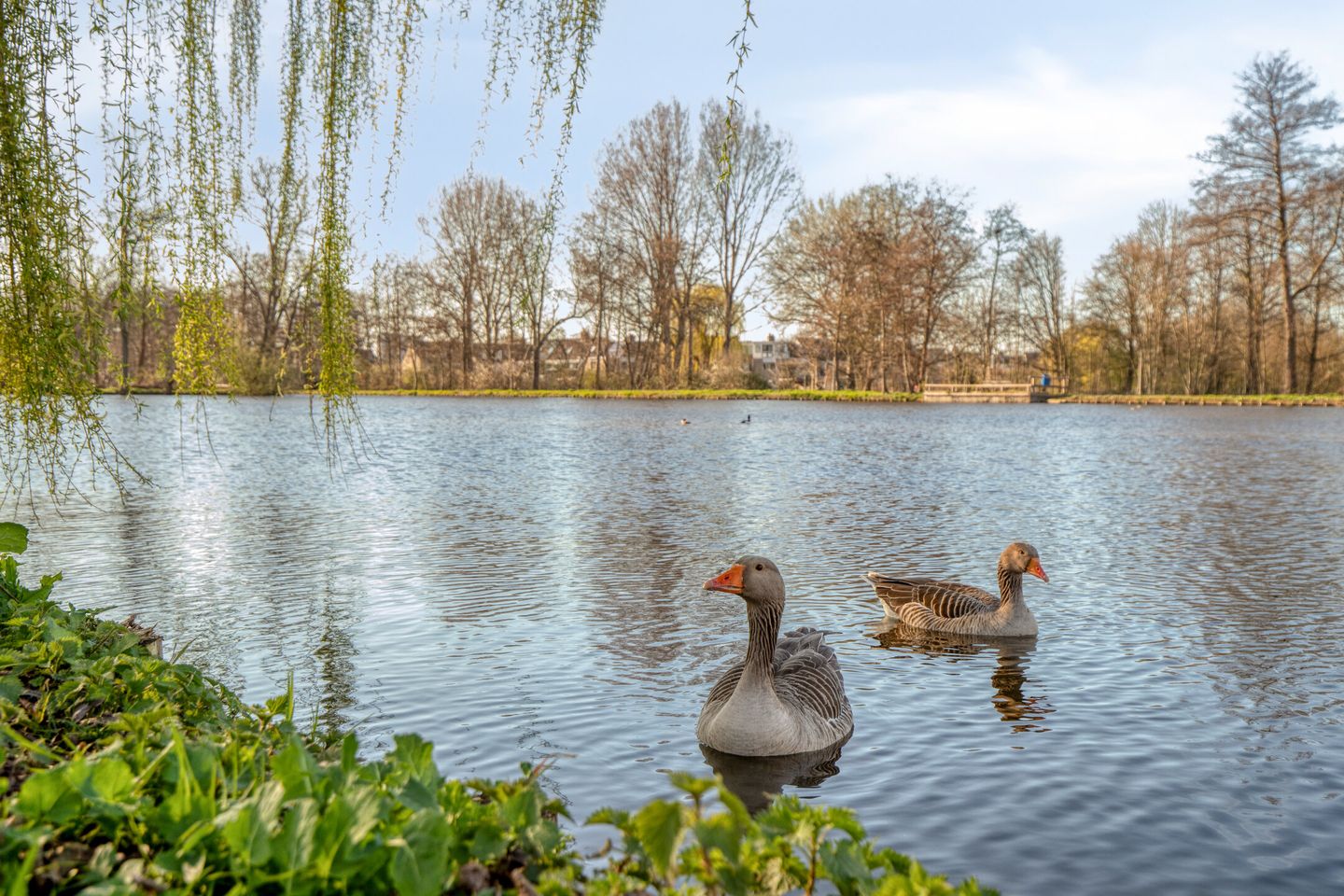 Foto 25 van Goudenregenstraat 102