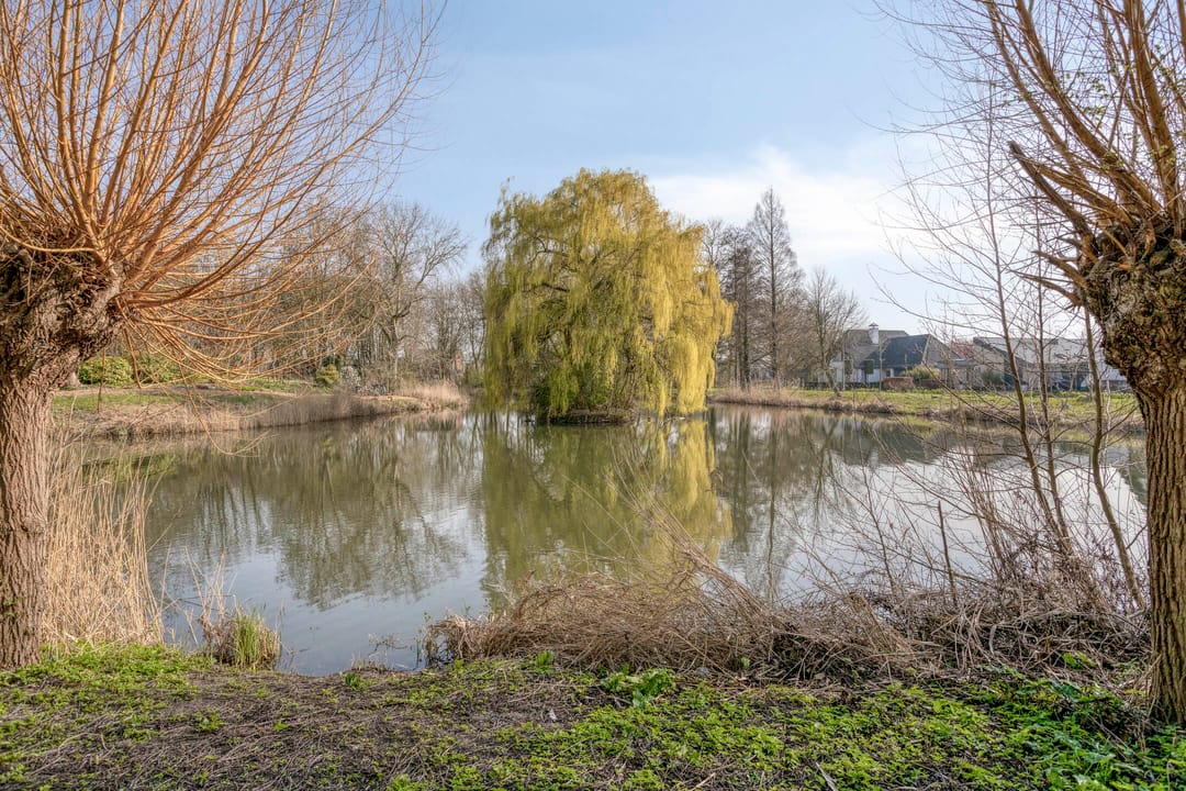 Foto 38 van Valckeslotlaan 87