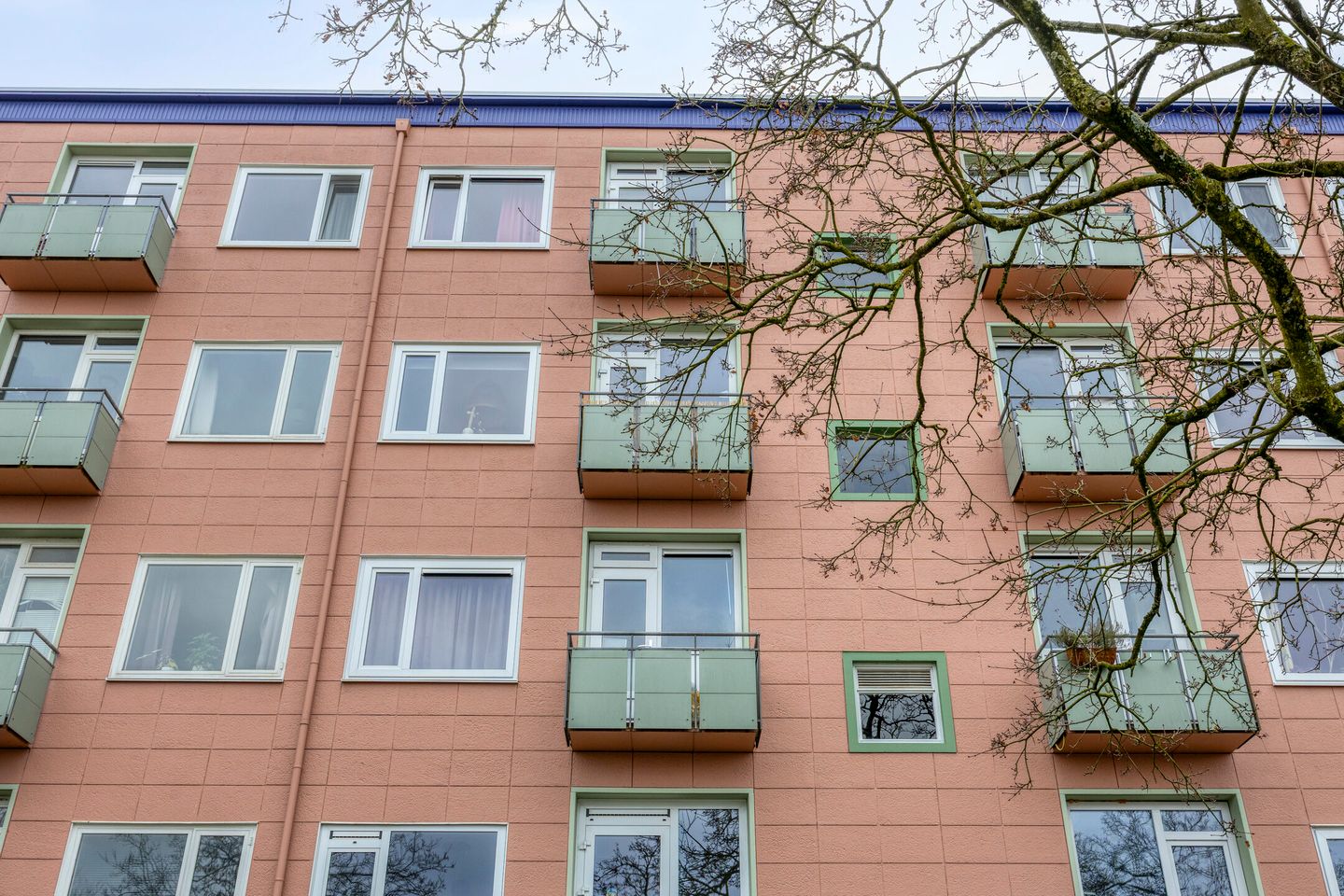 Foto 35 van Ligusterstraat 105