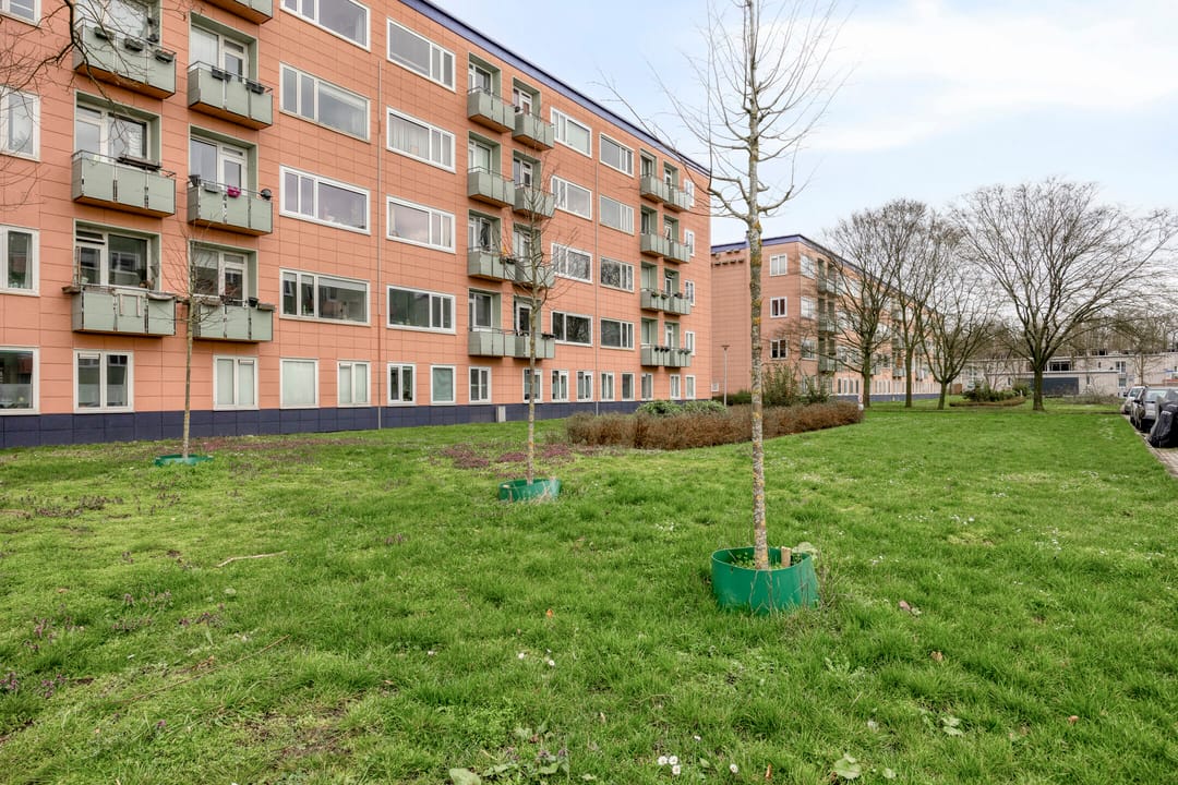 Foto 41 van Ligusterstraat 105