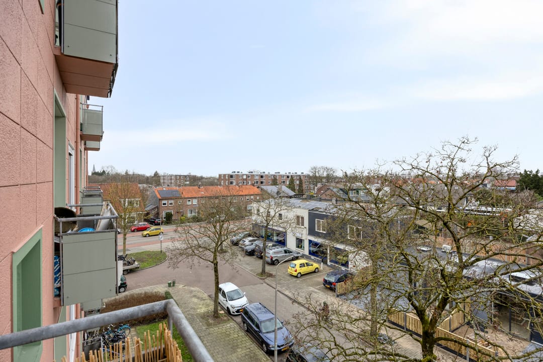 Foto 37 van Ligusterstraat 105