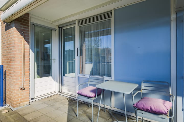 Photo 5 of Goudplevier 57