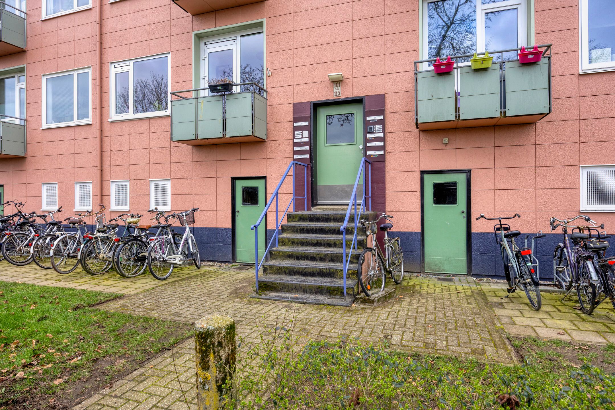 Foto 30 van Ligusterstraat 105