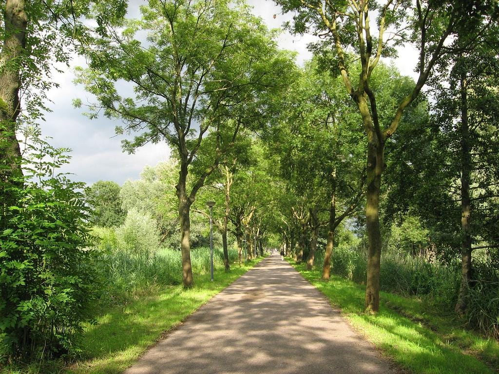 Foto 55 van Amsterdamseweg 576-A