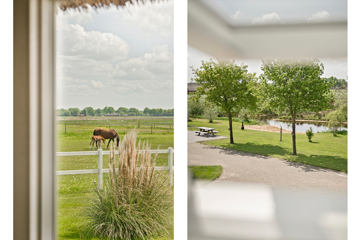 Spacious Country House with Guest Accommodation and Equestrian Facilities in Ommen — 57