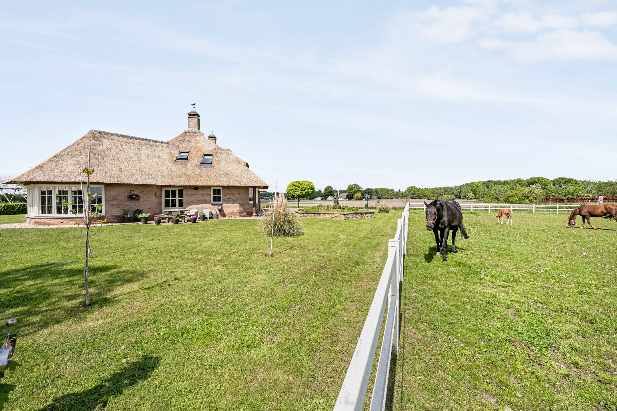 Spacious Country House with Guest Accommodation and Equestrian Facilities in Ommen — 113