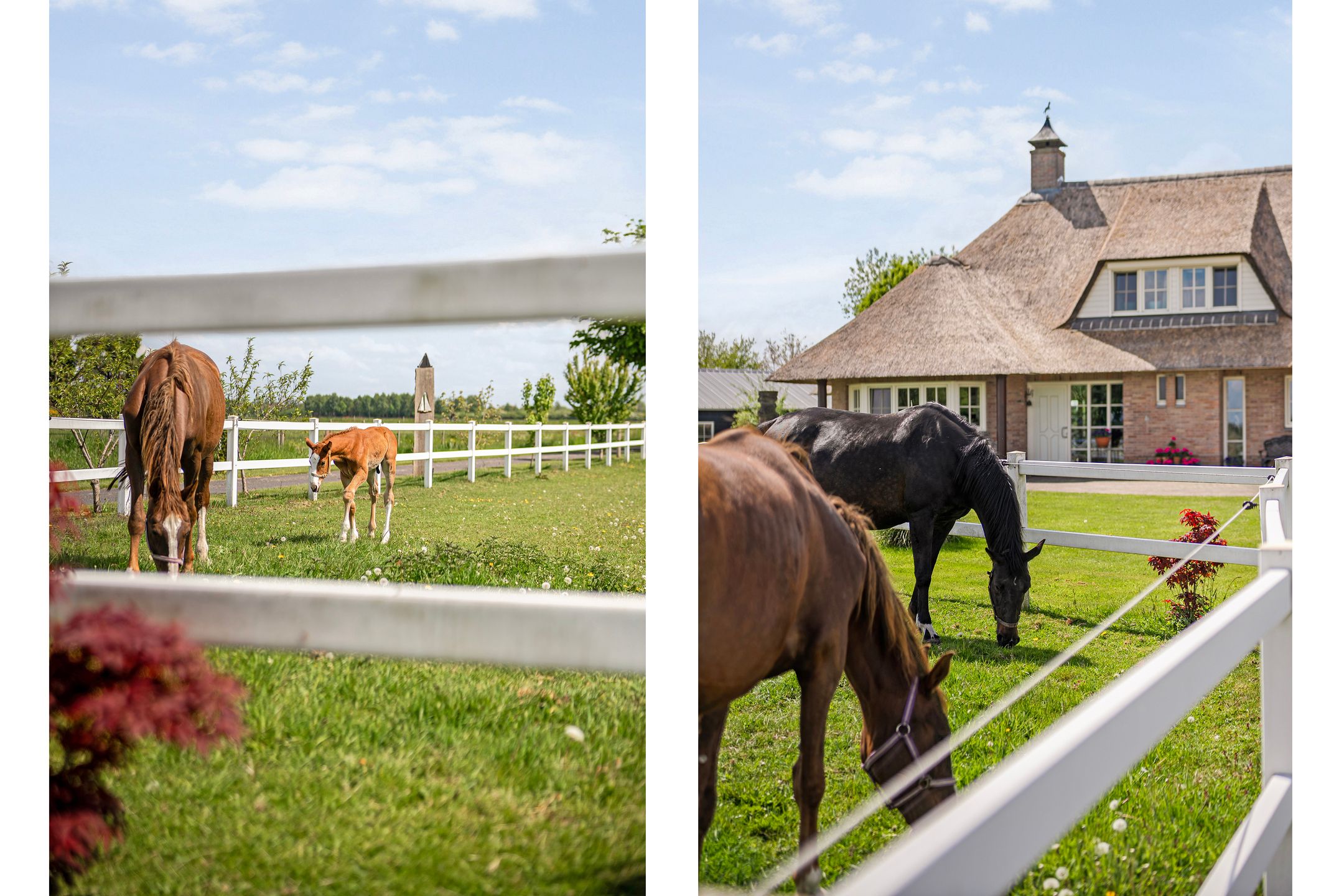 Spacious Country House with Guest Accommodation and Equestrian Facilities in Ommen — 94