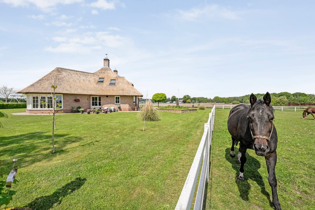 Spacious Country House with Guest Accommodation and Equestrian Facilities in Ommen — 89