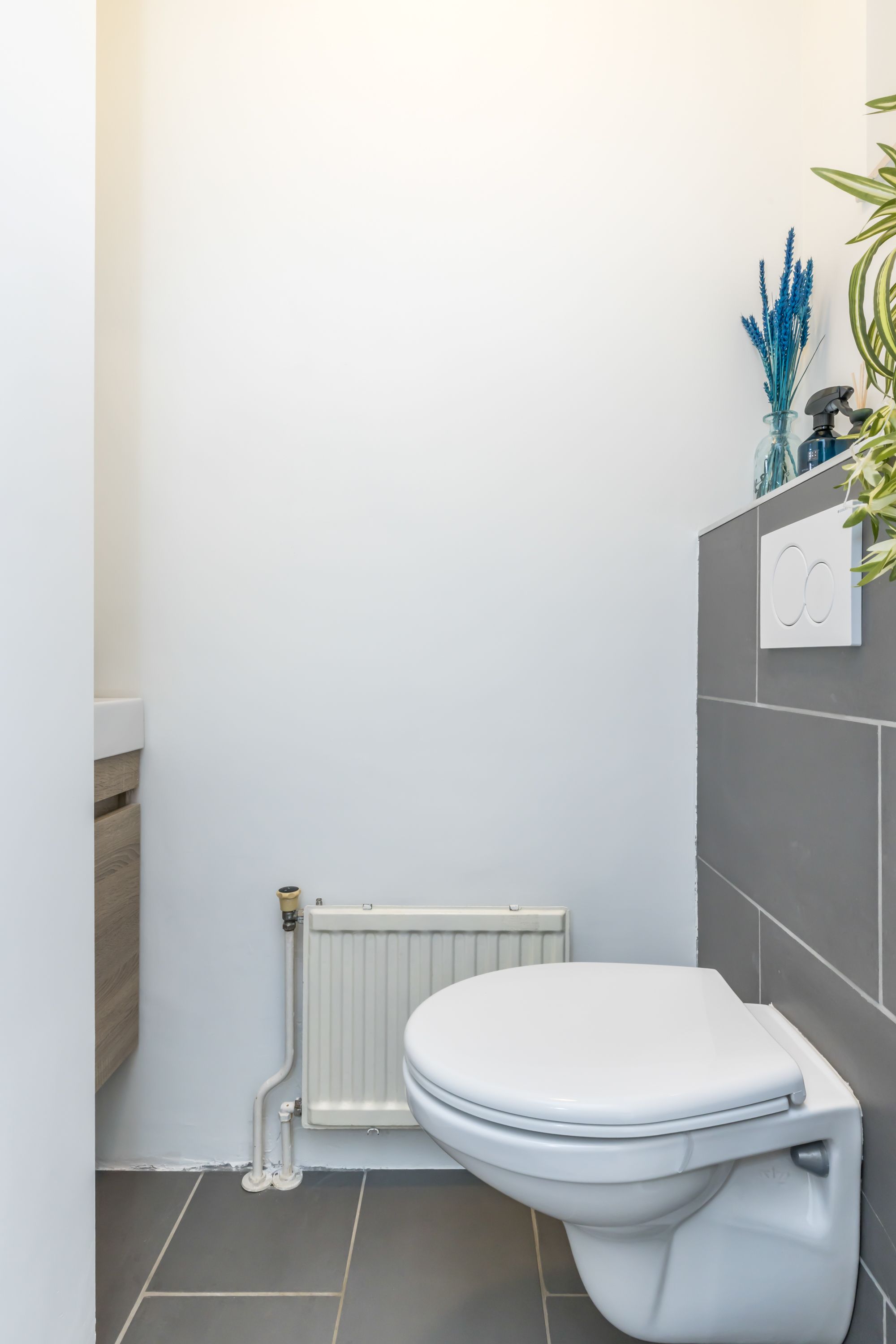 Foto 6 van Sleutelbloem 15