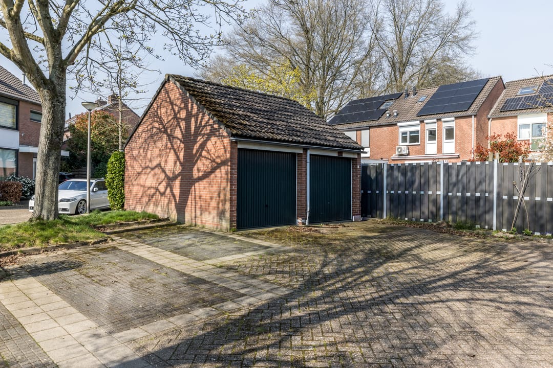 Foto 31 van Sleutelbloem 15