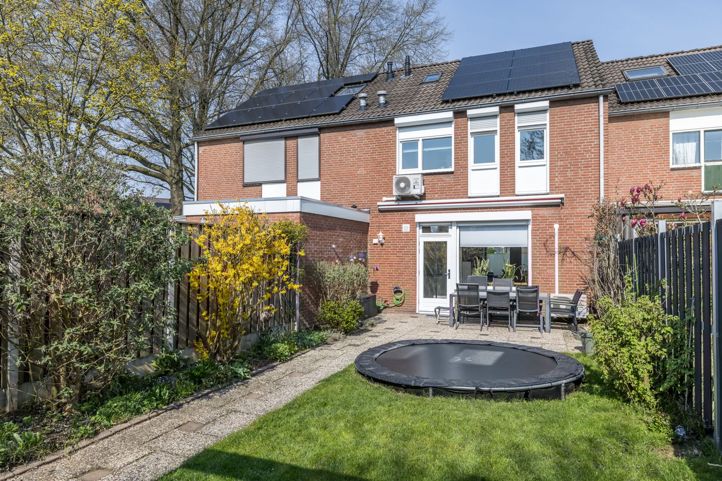 Foto 25 van Sleutelbloem 15