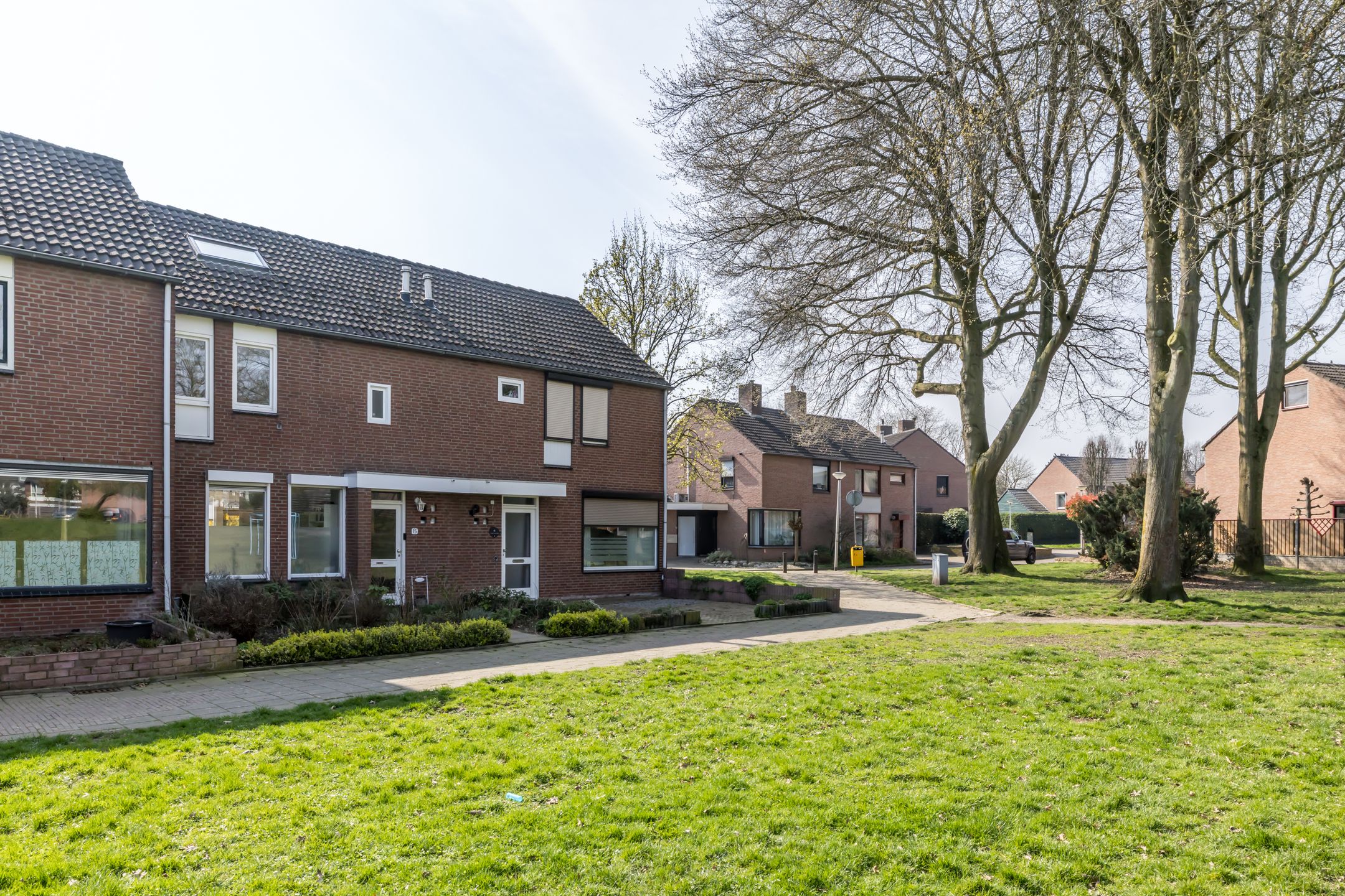 Foto 30 van Sleutelbloem 15