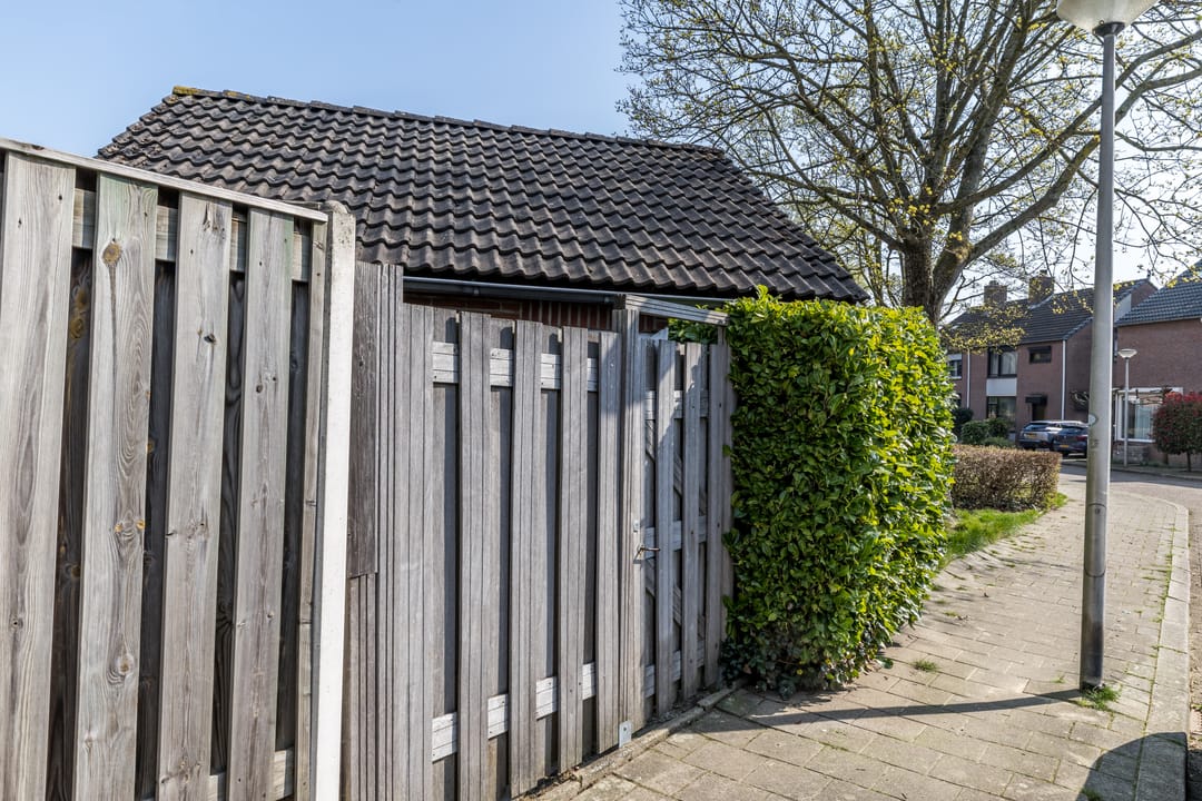 Foto 32 van Sleutelbloem 15