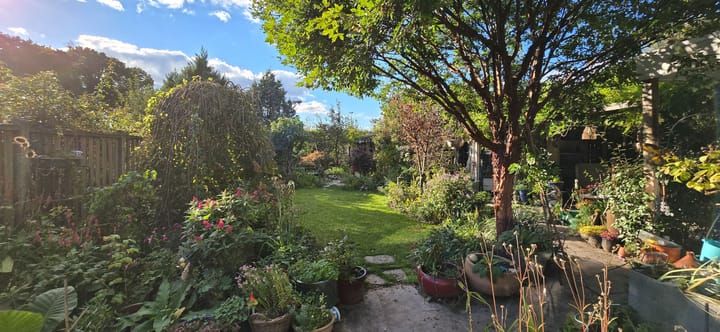 Foto 4 van Legakker 3