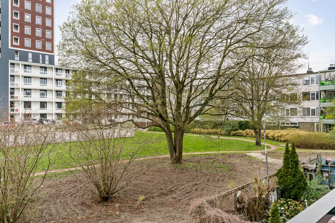 Foto 26 van Landingsplaats 2